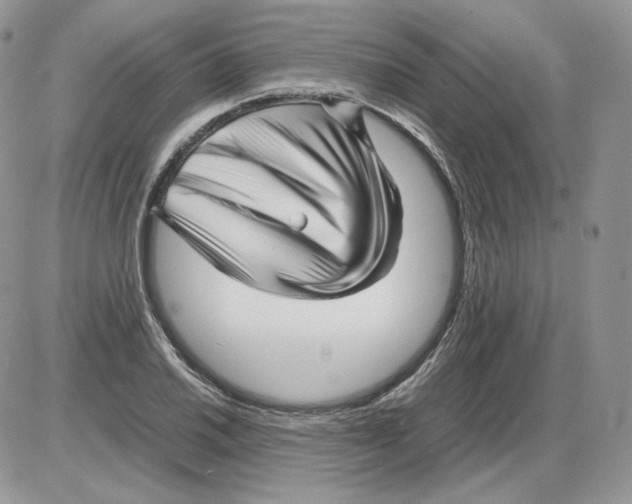 X0000086081030200704202146