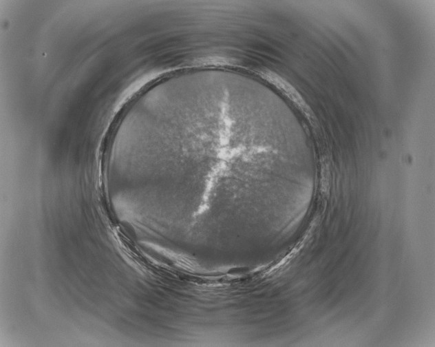 X0000086081031200704202146