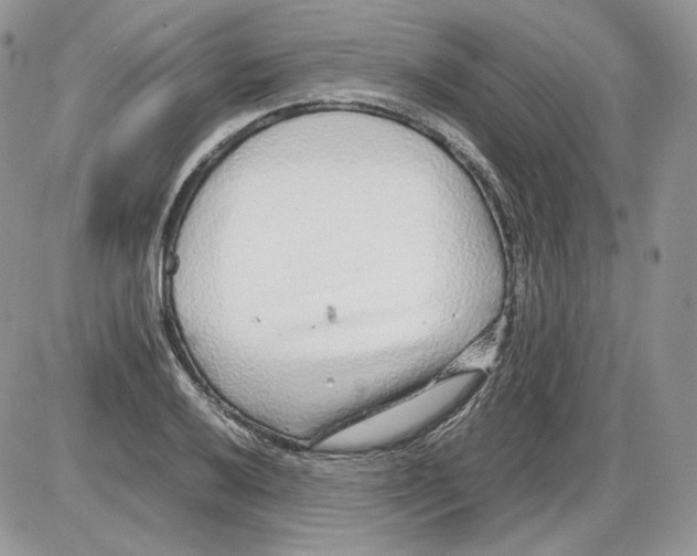 X0000086081032200704202146