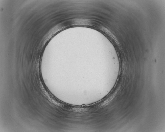 X0000086081033200704202146