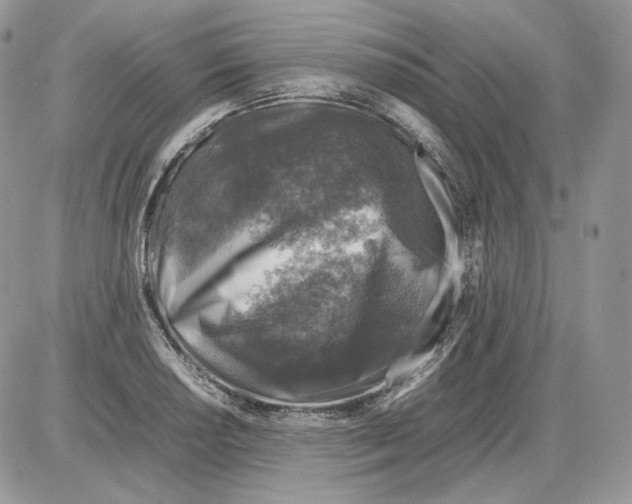 X0000086081034200704202146