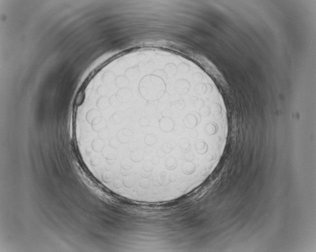 X0000086081036200704202146