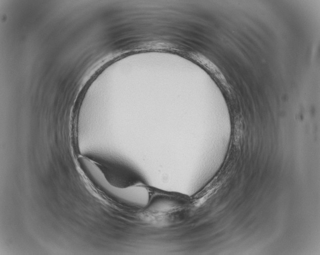 X0000086081039200704202146