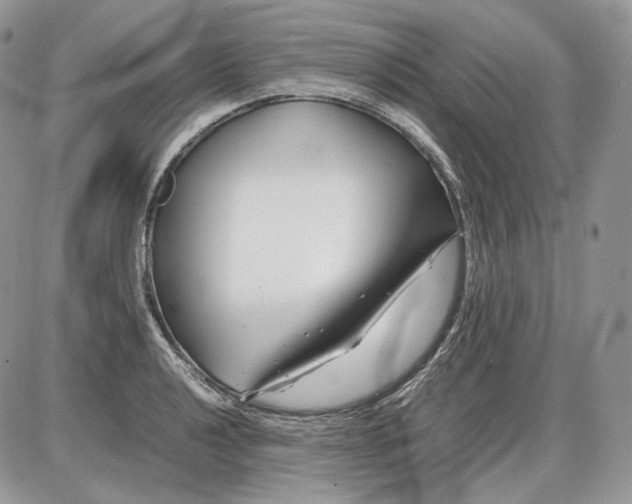 X0000086081040200704202146