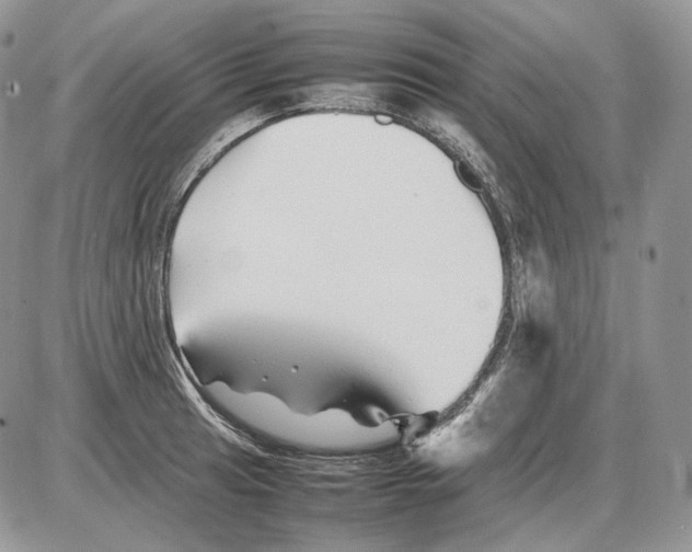 X0000086081041200704202146