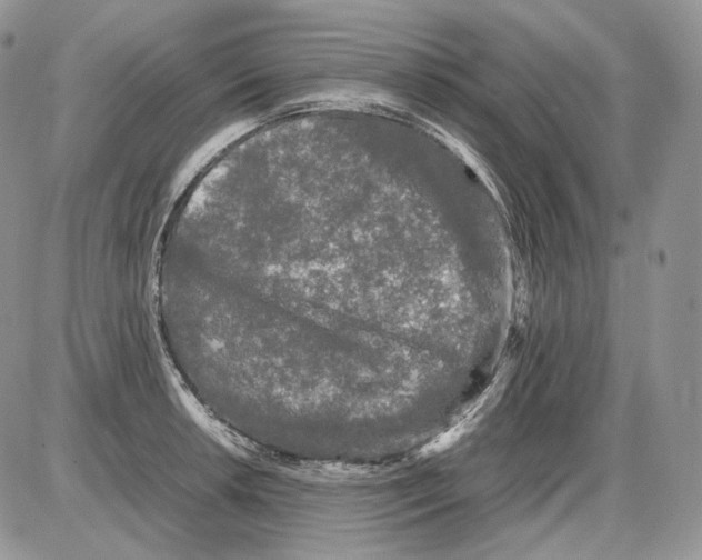 X0000086081042200704202146