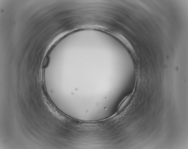 X0000086081044200704202146