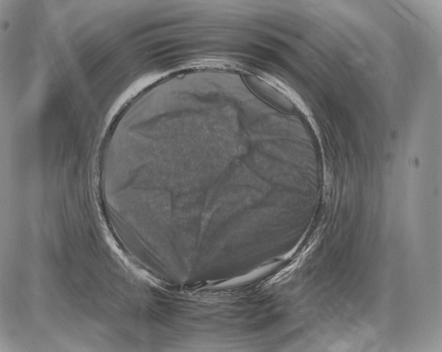 X0000086081045200704202146