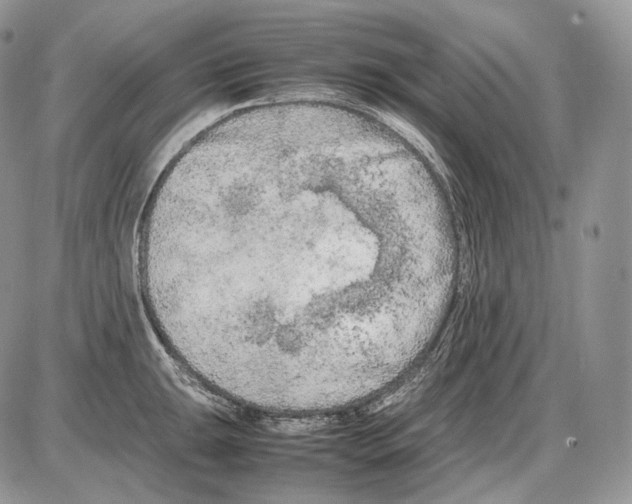 X0000086081047200704202146