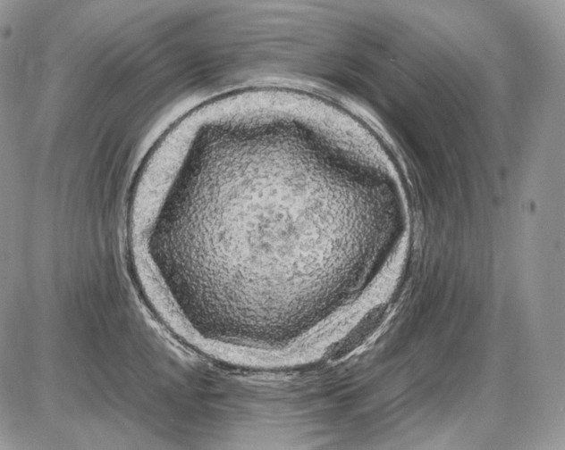 X0000086081048200704202146