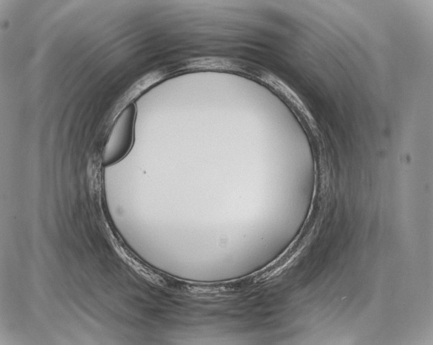 X0000086081049200704202146