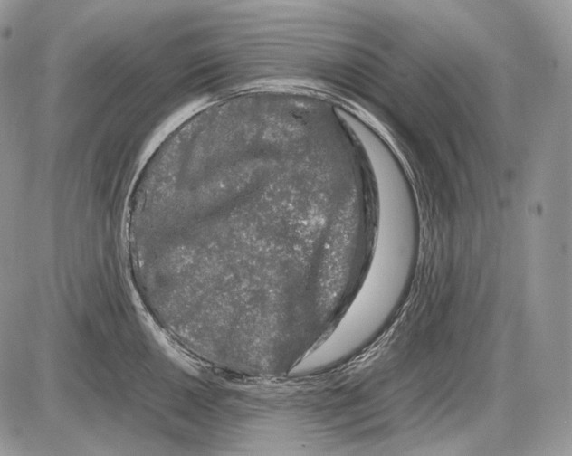 X0000086081050200704202146