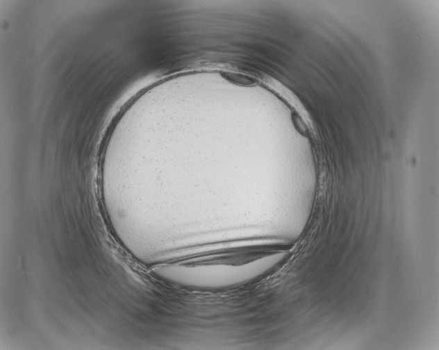 X0000086081051200704202146