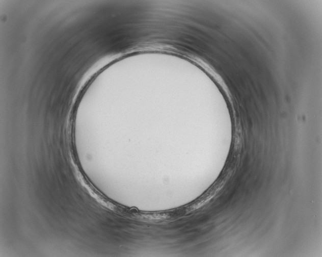 X0000086081053200704202146