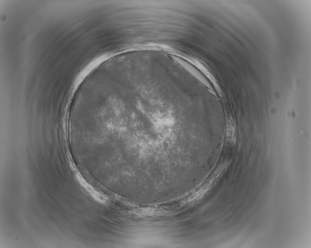 X0000086081054200704202146