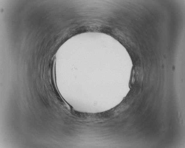 X0000086081057200704202146