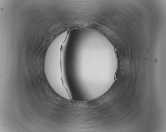 X0000086081058200704202145