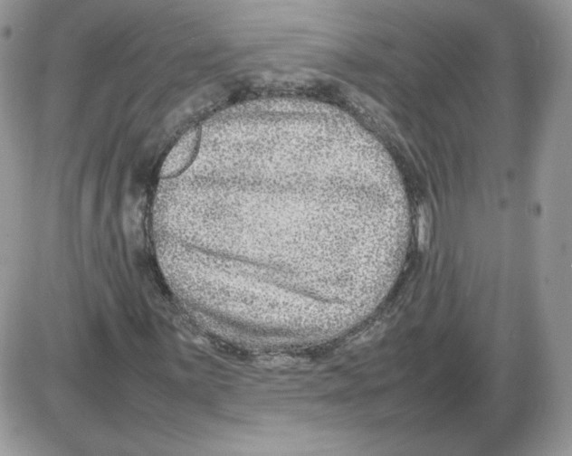 X0000086081059200704202145