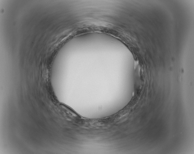 X0000086081061200704202145