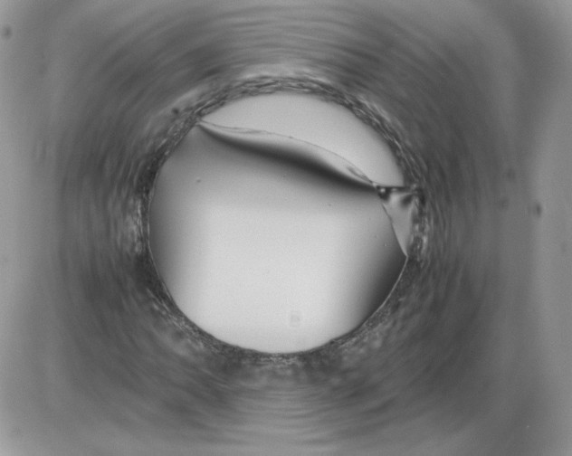 X0000086081062200704202145