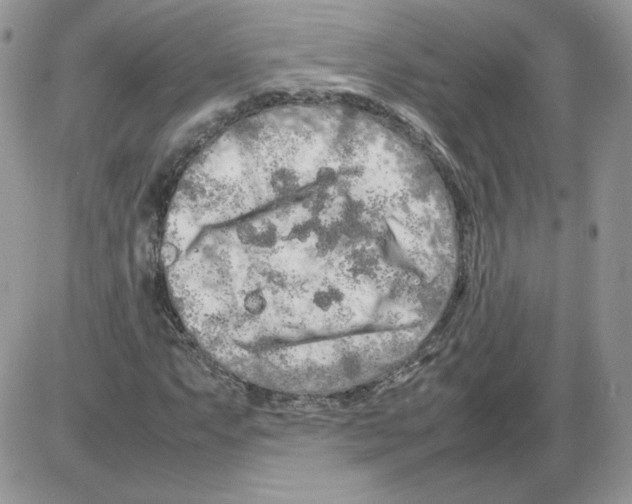 X0000086081063200704202145