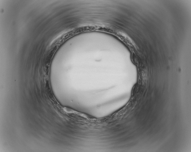 X0000086081064200704202145