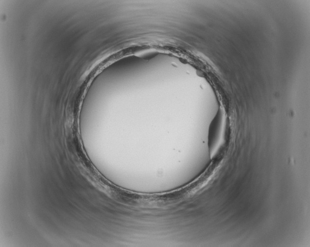 X0000086081065200704202145