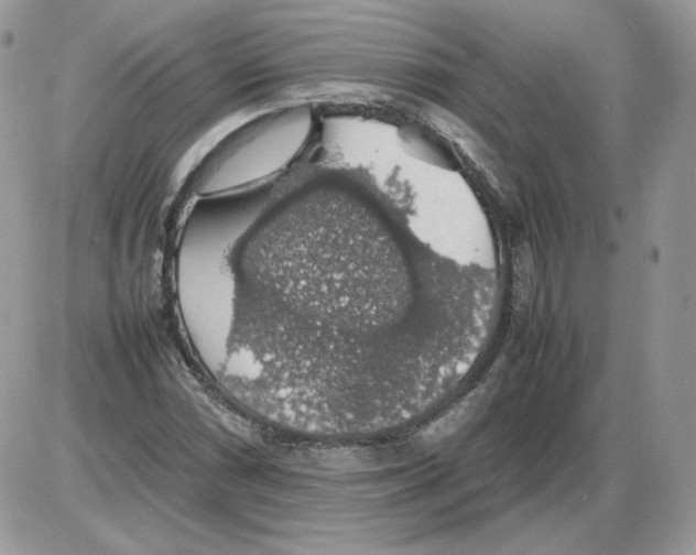 X0000086081066200704202145