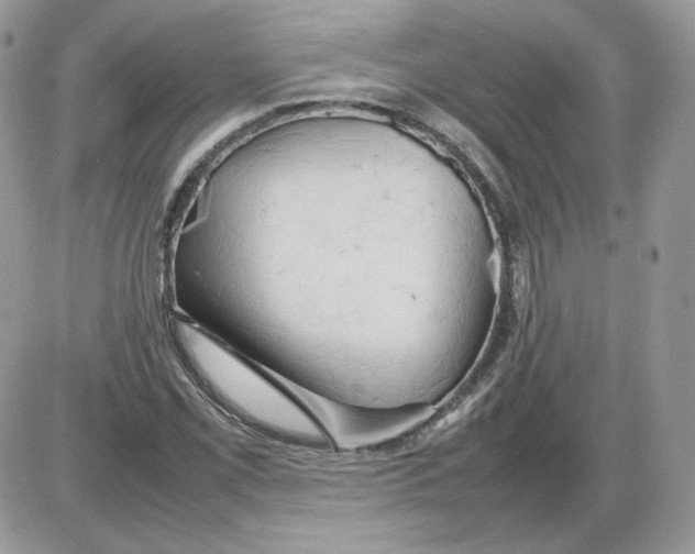 X0000086081069200704202145