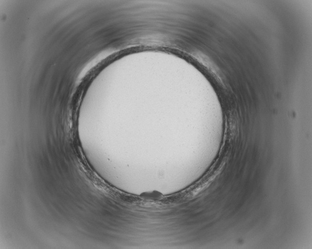 X0000086081070200704202145