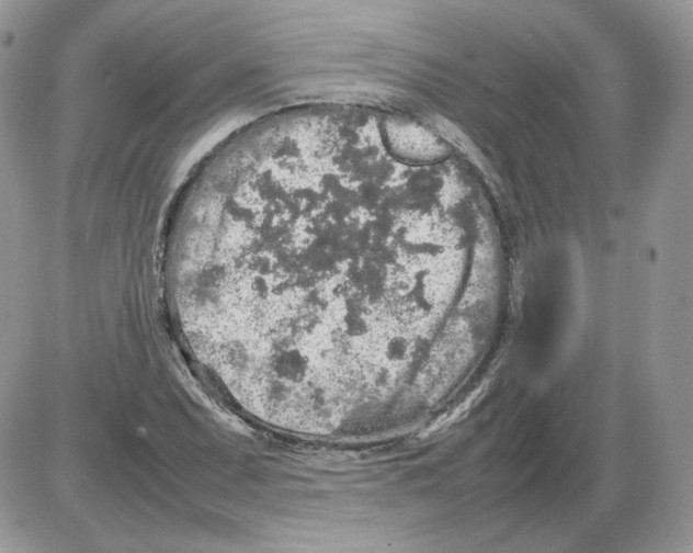 X0000086081071200704202145