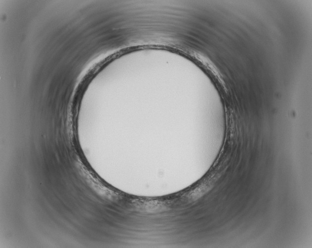 X0000086081072200704202145