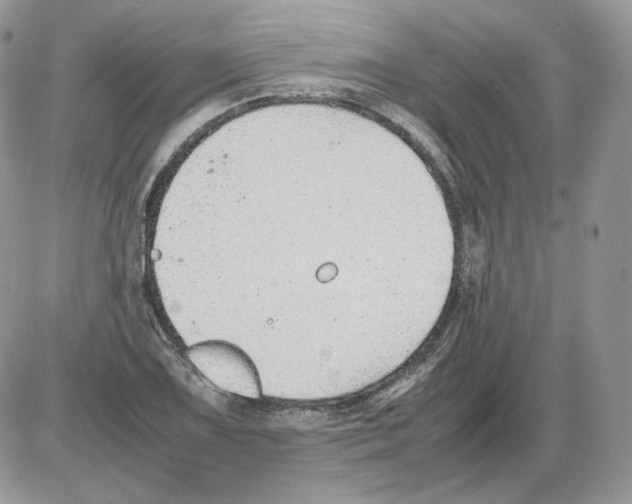 X0000086081075200704202145