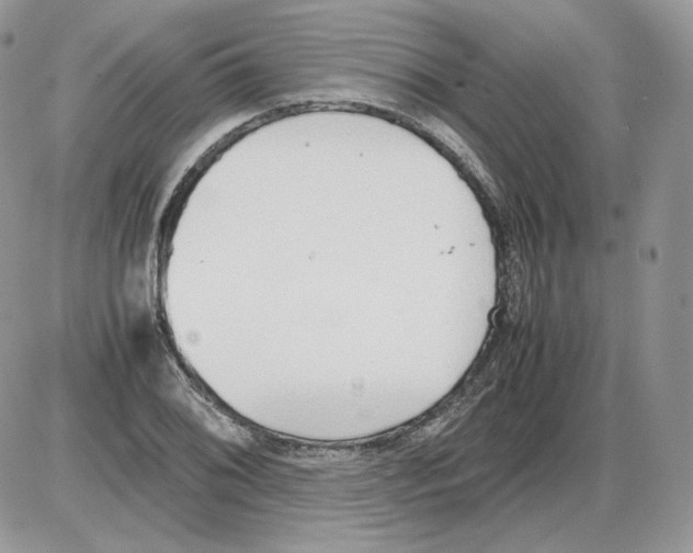 X0000086081076200704202145