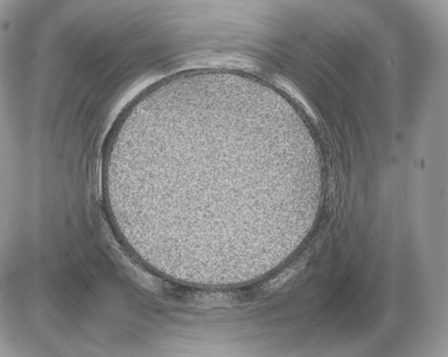 X0000086081079200704202145