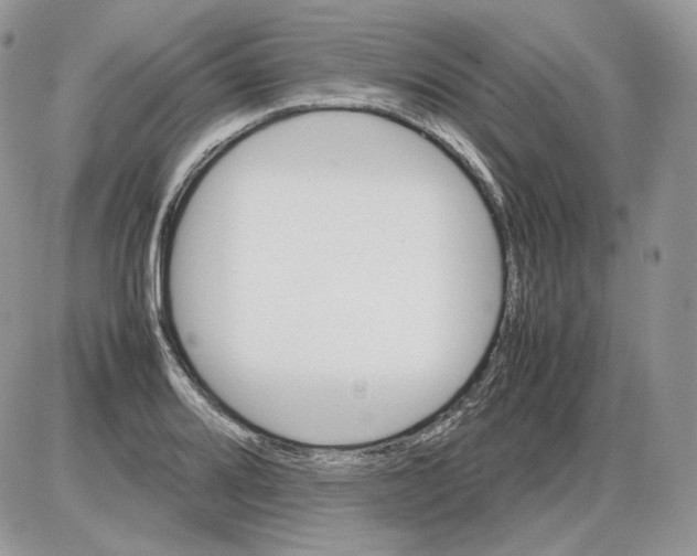 X0000086081080200704202145