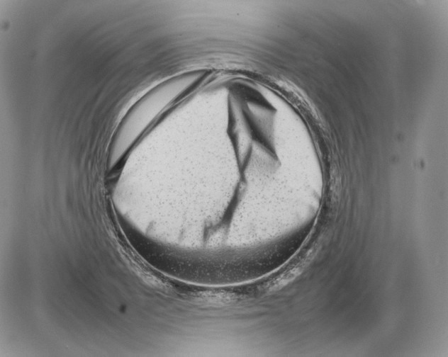 X0000086081081200704202145