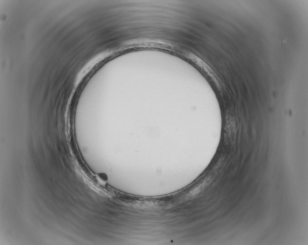 X0000086081082200704202145