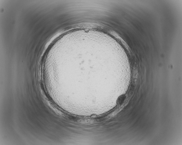 X0000086081083200704202145