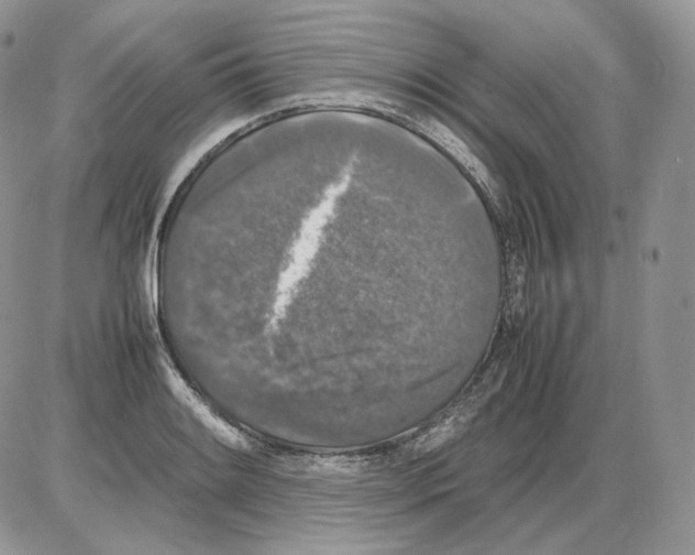 X0000086081084200704202145