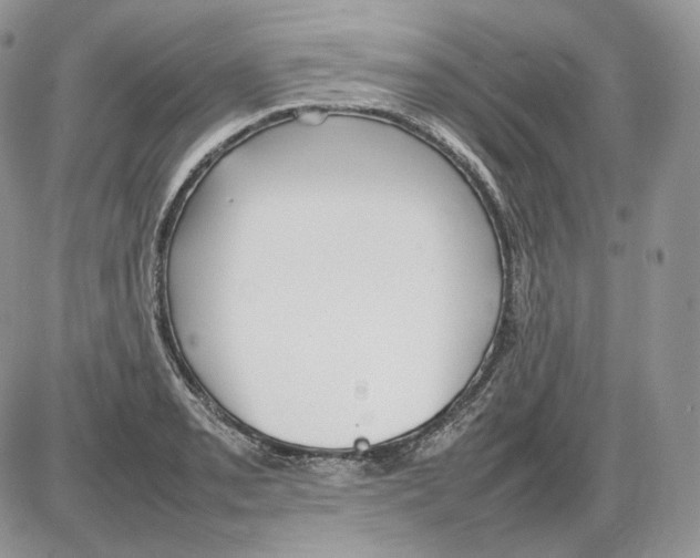 X0000086081085200704202145