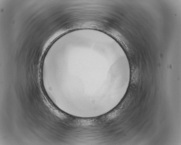 X0000086081086200704202145