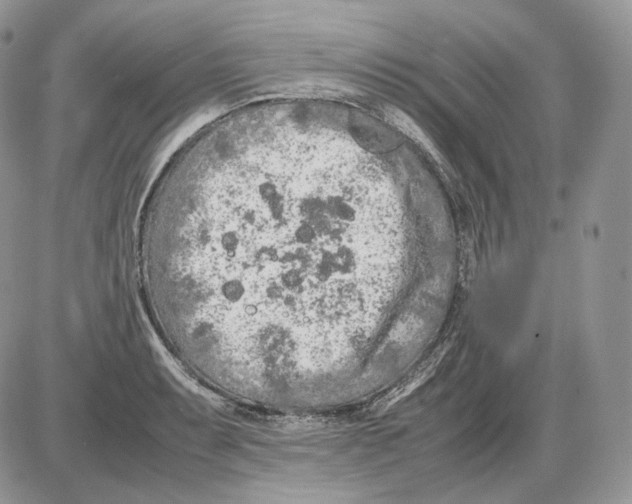 X0000086081087200704202145