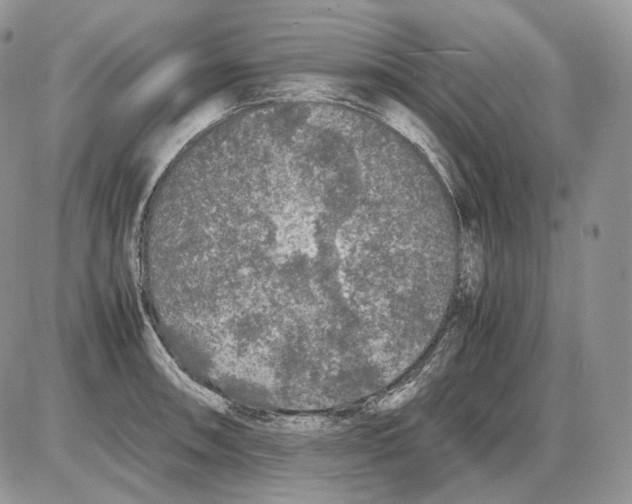 X0000086081090200704202145