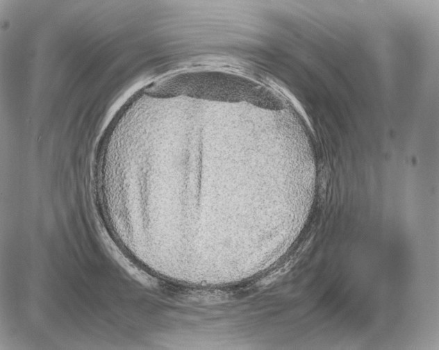 X0000086081091200704202145