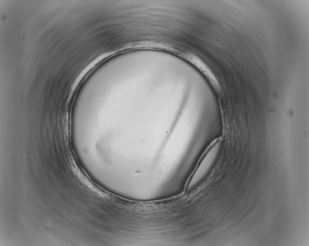 X0000086081092200704202145