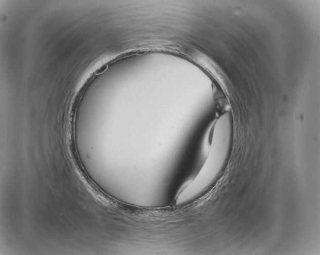 X0000086081093200704202145