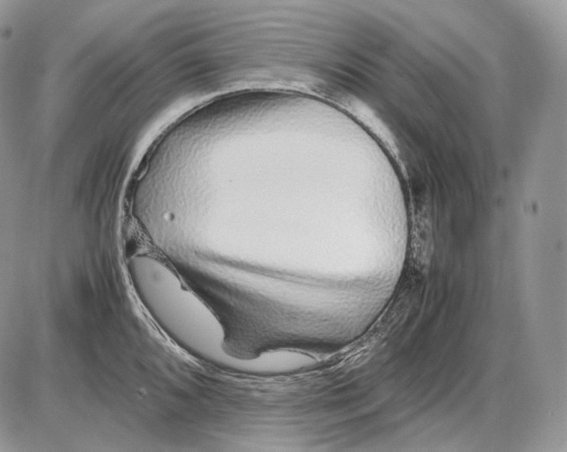 X0000086081096200704202145