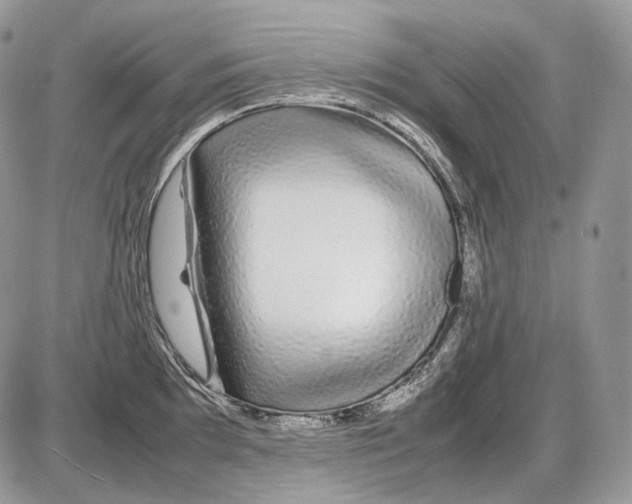 X0000086081097200704202145