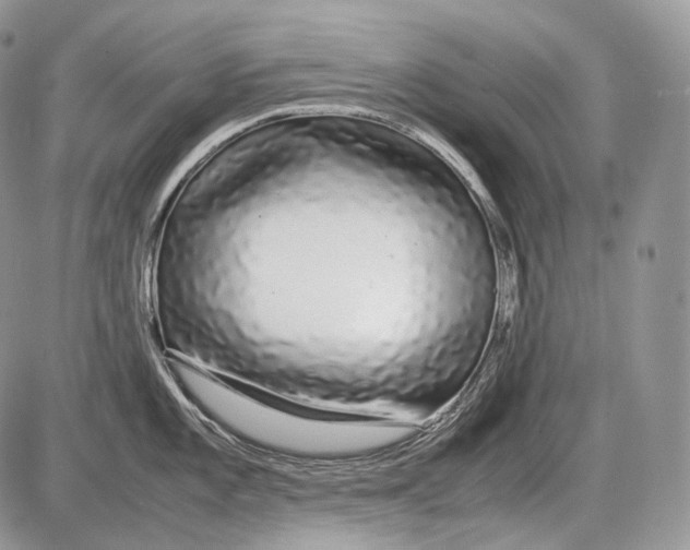 X0000086081101200704202145